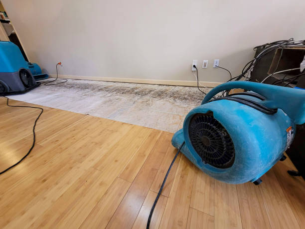 Professional Basement Flood Cleanup technician working in Salida, CA